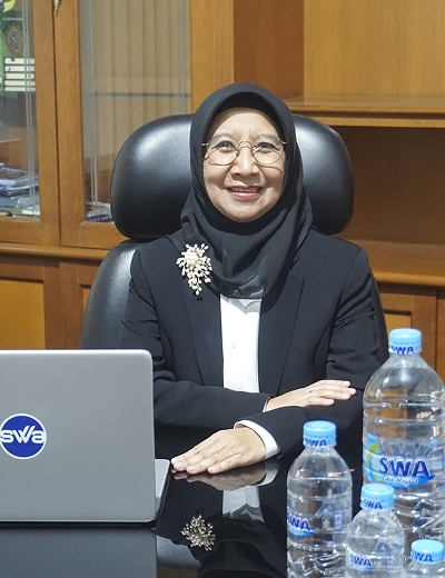 Nur Aini, SE., MSA